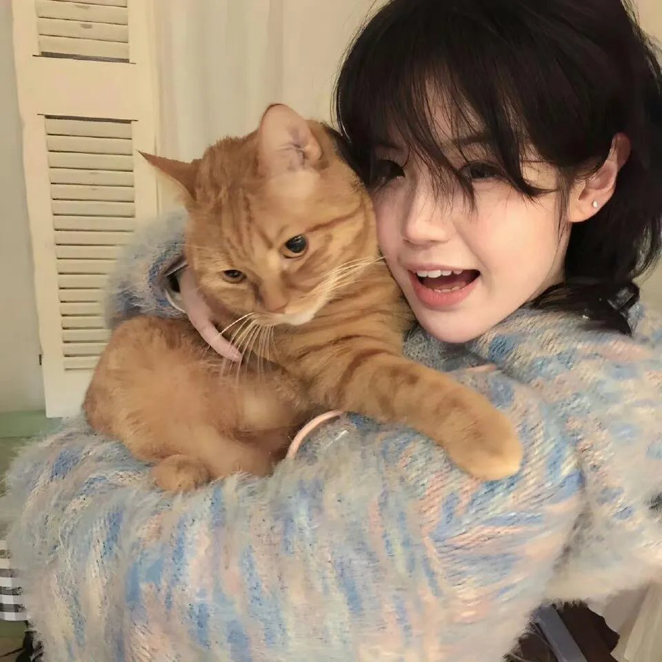 猿与超猿