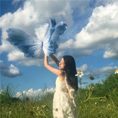 主妇侦探社